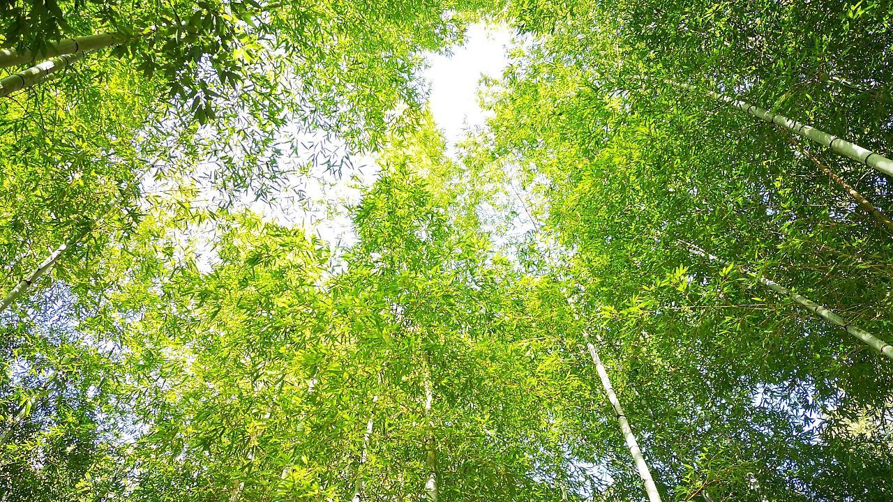 Yugashima Tatsuta Hotell Izu  Eksteriør bilde